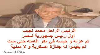 حقيقة احتفالية المصريين بذكرى الستين لثورة يوليو / ويكيليكس العربية حقيقة احتفالية المصريين بذكرى الستين لثورة يوليو / ويكيليكس العربية