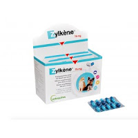  ZYLKENE 75 MG 100 GELULES