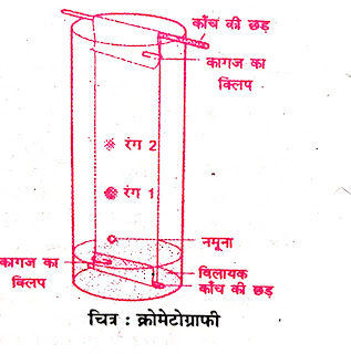 Bharati Bhawan Class 9th Chemistry : Chapter 2 Classification of Matters : Long Answer Questions : भारती भवन कक्षा 9 रशायनशास्त्र : अध्याय 2 पदार्थों का वर्गीकरण : दीर्घ उत्तरीय प्रश्न : BharatiBhawan.org