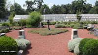 Herb garden with glasshouses in background - Elizabeth Park, West Hartford, CT