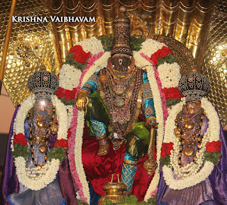 Thiruvallikeni,Triplicane,  Sri Parthasarathy Perumal, Venkata Krishna , 2017, Video, Divya Prabhandam,Utsavam,Sesha Vahanam