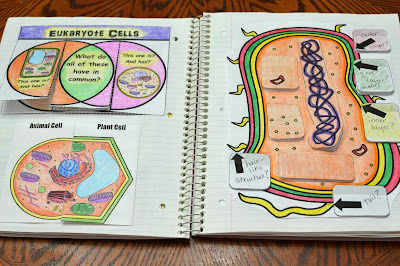 Science Interactive Notebook