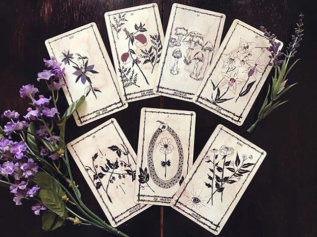 Ophidia Rosa Tarot 