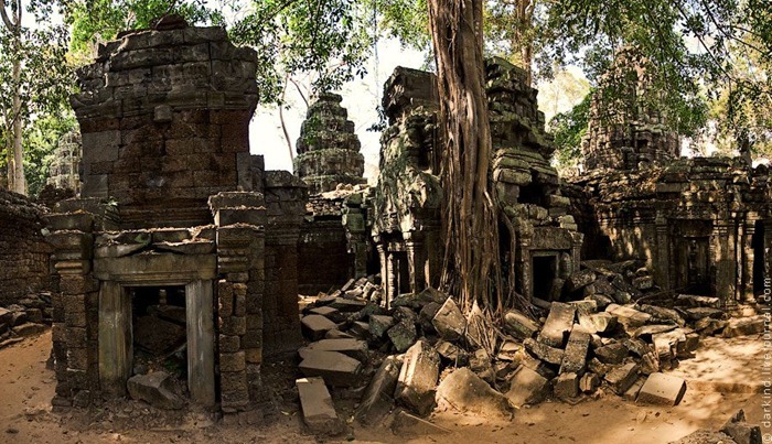 ta-prohm10