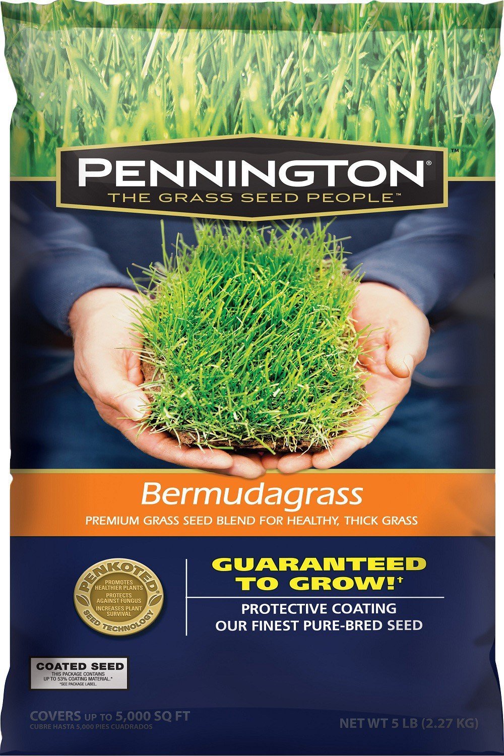 BERMUDA GRASS BLEND - Agen Benih Rumput