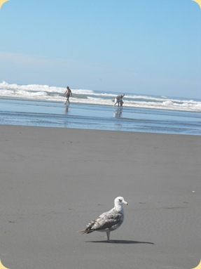 Ocean Shores-Pacific Ocean 142