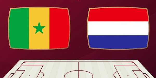 مشاهدة مباراة السنغال وهولندا في كأس العالم اليوم بث مباشر
