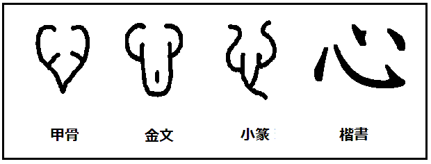漢字考古学の道 漢字の由来と成り立ちから人間社会の歴史を遡る 漢字 心 の起源と成り立ち 心臓をそのまま形をにした象形文字