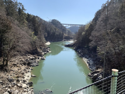 つつじ橋から見た天竜峡 下流方向