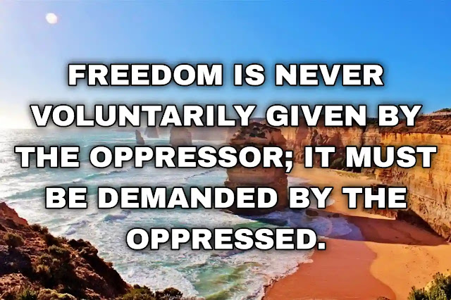 Freedom is never voluntarily given by the oppressor; it must be demanded by the oppressed.