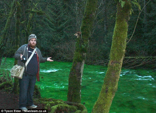 Fluorescent Luminous Green River is Blamed on Pranksters