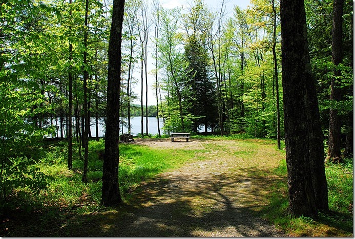 Mongaup Pond_111
