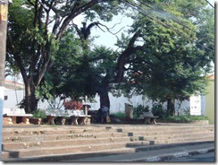 Dezembro 2012 149
