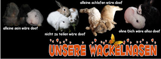 Titelbild Unsere Wackelnasen