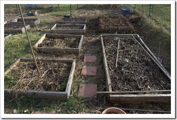 Vegetable Garden in Winter 1-2010-2