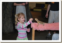 AG feeding lizard