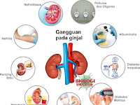 Gangguan pada Sistem Ekskresi