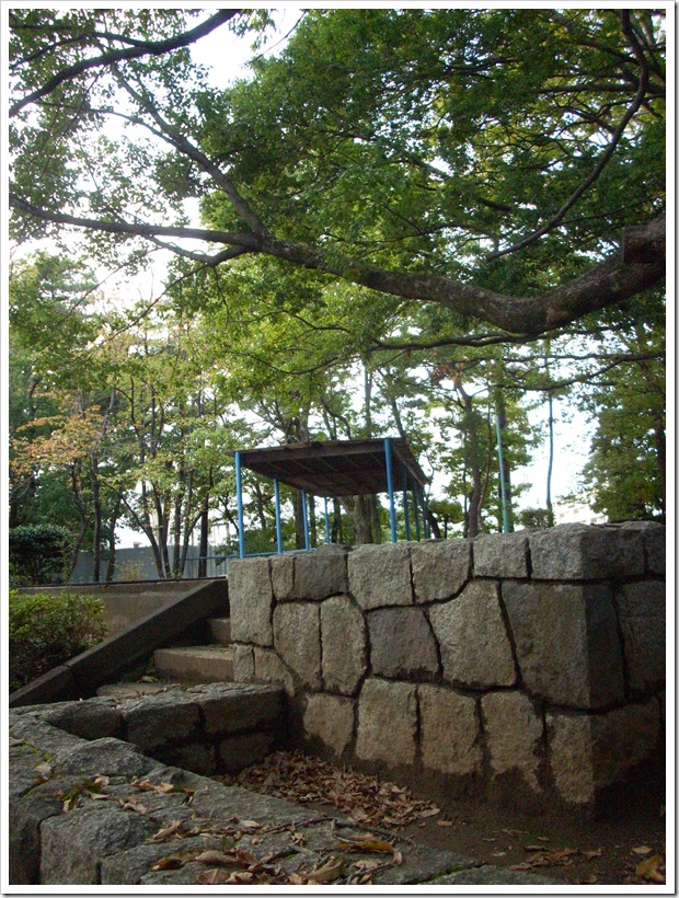 20111112_154723