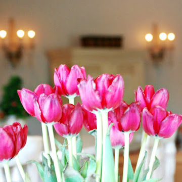 5 Tips For Caring For Fresh Cut Tulips