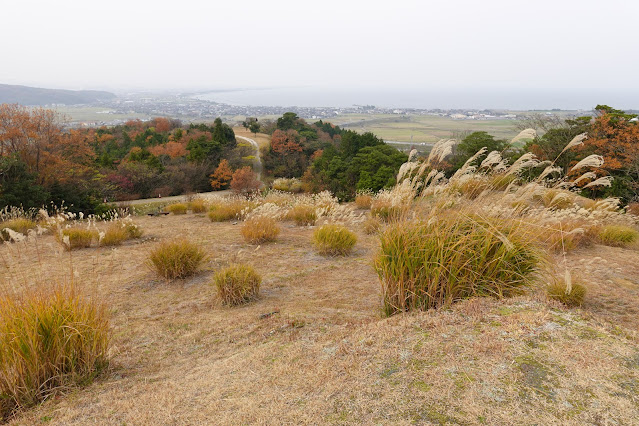 鳥取県西伯郡大山町富岡 むきばんだ史跡公園 洞の原 西側丘陵