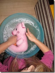 IMG_7804