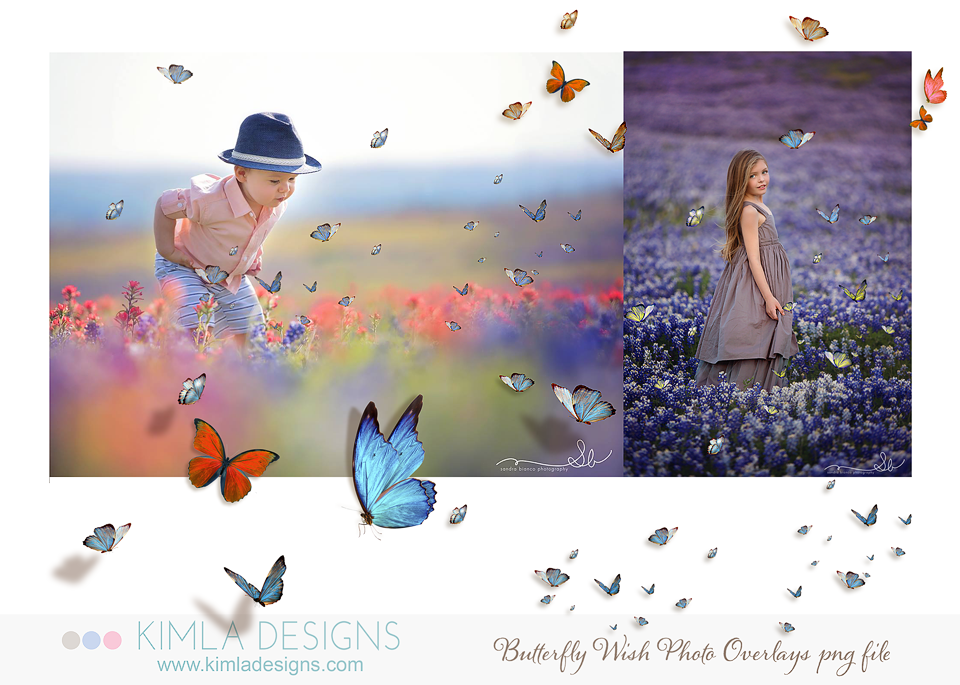 KIMLA DESIGNS - Blog: Photo Overlays for Photographers Buy ...