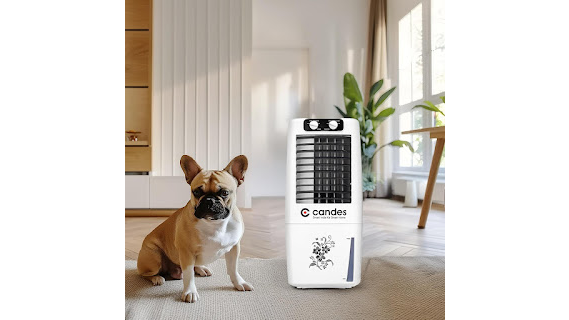 Candes Elegant 12L Air Cooler