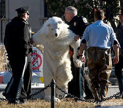 bear arrested police