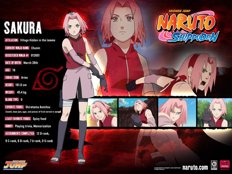 Naruto Shippuden Sora. About Naruto