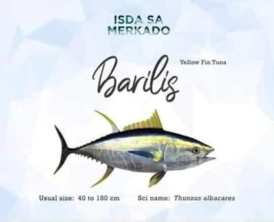 Isda Barilis Tambakol Tambakul (Yellow Fin Tuna) yellowfin fish