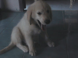 Kangfu