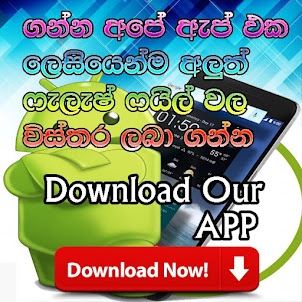 Download Our APP