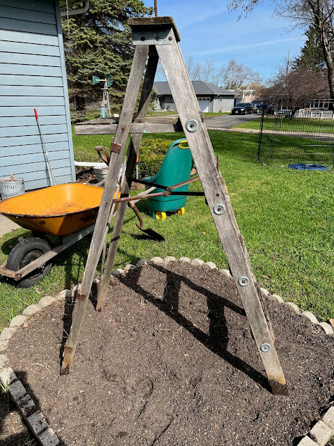 Photo of a stepladder placed in a small flower garden.