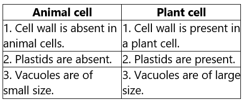 Cell Structure and Functions - Class 8 Science Textbook Solution