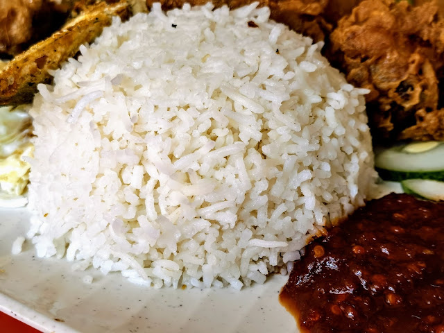 Selera_Rasa_Nasi_Lemak