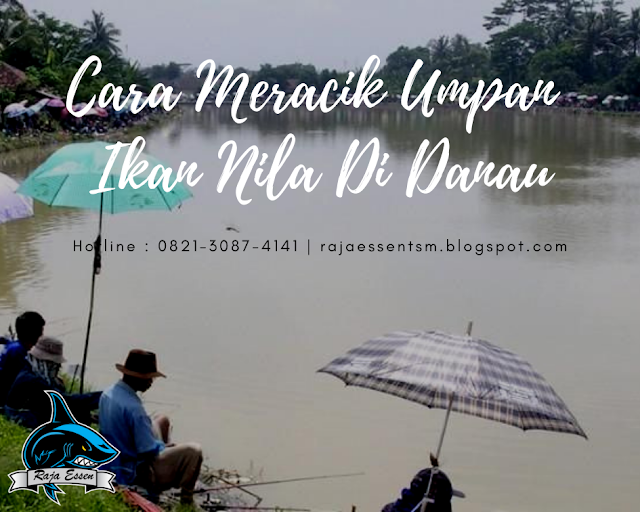 https://rajaessentsm.blogspot.com/2018/12/cara-buat-umpan-ikan-nila-di-danau.html