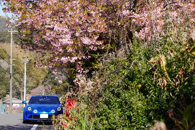 Alpine A110