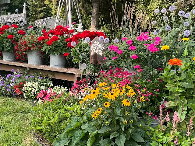 Photo of a junk garden border.