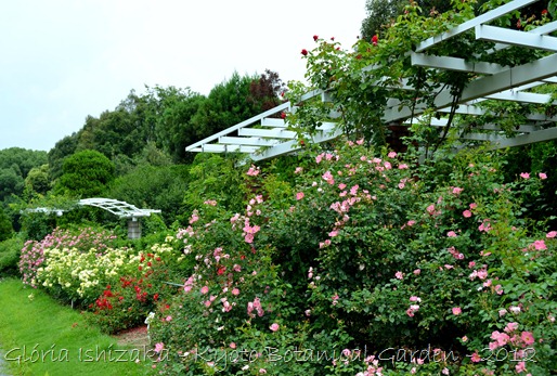 Glória Ishizaka -   Kyoto Botanical Garden 2012 - 112