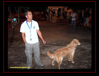 Golden Retriever na Feira do Doce em Lagos