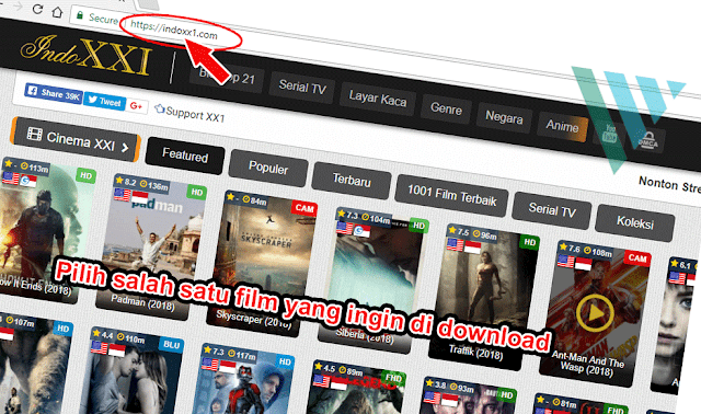 Solusi IDM Yang Tidak Bisa Download Film di Indoxxi