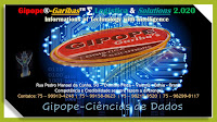 GIPOPE - GARIBA'S Logística for 2012 - 2013