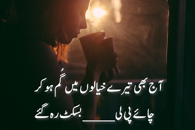 500+ romantic love poetry in urdu