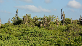 Charles Darwin Research Station Galapagos