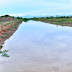  Concejal asegura que es normal la distribución de agua potable en Laguna Yema y en parajes vecinos