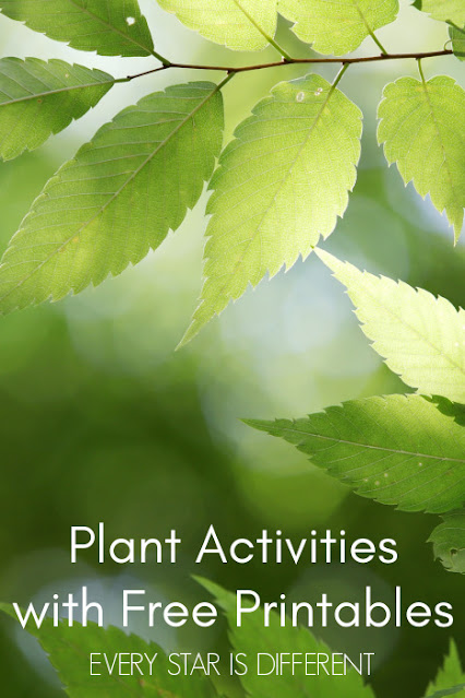 Plant Activities and Free Printables