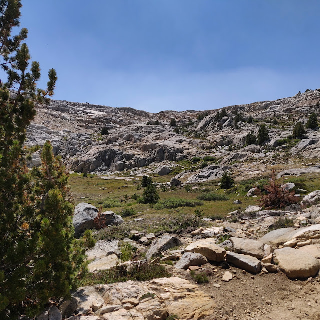Looking up to Piute Pass