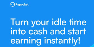 Repocket Interface - Overview (Screenshot from Repocket website)