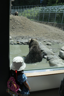 秋田　観光　くまくま園　子供　喜ぶ　家族連れ　ファミリー　動物園