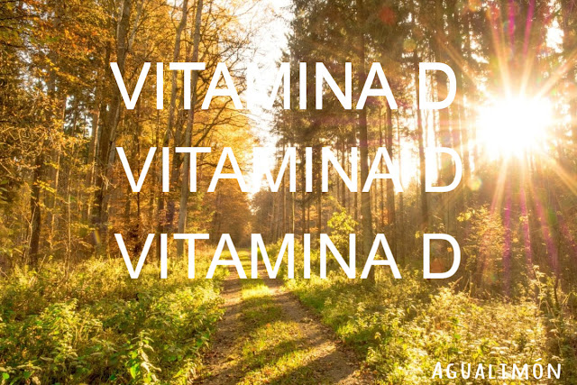 vitamina d y confinamiento